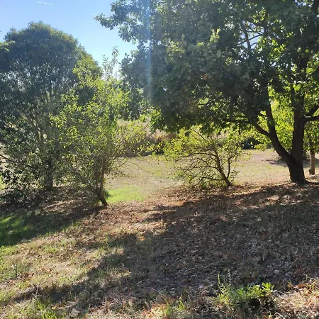 De La Tride B Avec Terrasse Proche Du Centre * Lectoure