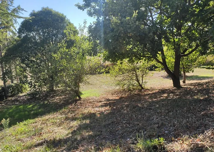 De La Tride B Avec Terrasse Proche Du Centre * Lectoure